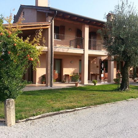 Agriturismo Morgan Montebelluna Exterior foto
